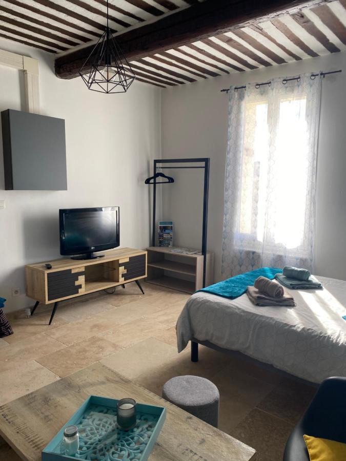 Studio De Charme Le Clos De L'Etang + Place De Parking Л'Иль-сюр-ла-Сорг Экстерьер фото