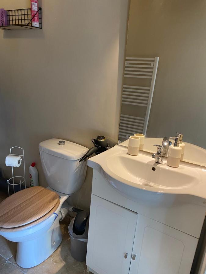 Studio De Charme Le Clos De L'Etang + Place De Parking Л'Иль-сюр-ла-Сорг Экстерьер фото